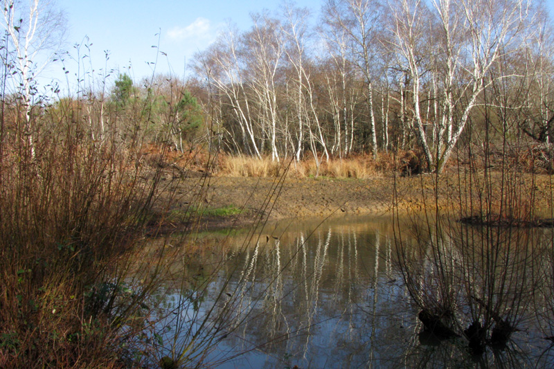 Natura_2000_Landes_de_Cadeuil