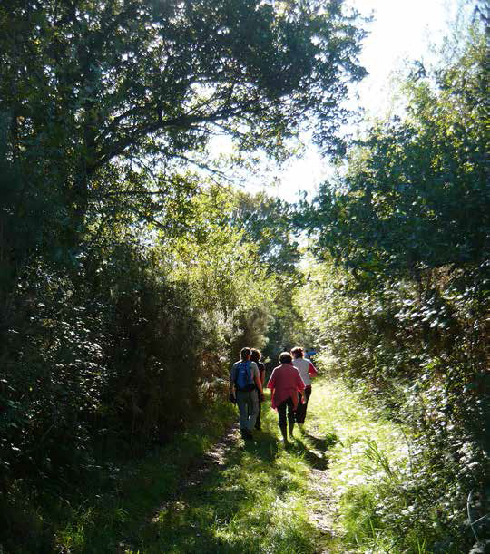 Réserve_Naturelle_Régionale_Massonne
